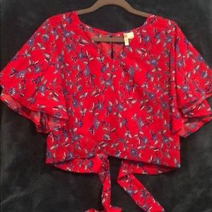 Vibrant Flutter Sleeve Crop with Back Tie NWOT